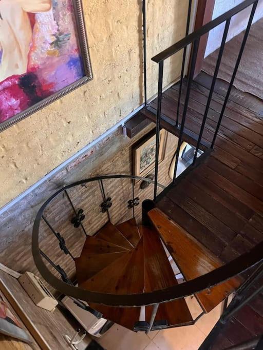 Casa Marys En El Tesoro De La Barra Villa Punta del Este Eksteriør billede